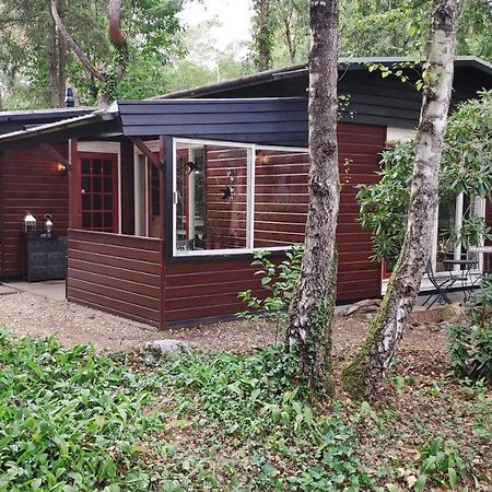 Bosbungalow De Eekhoorn Нунспет Екстериор снимка