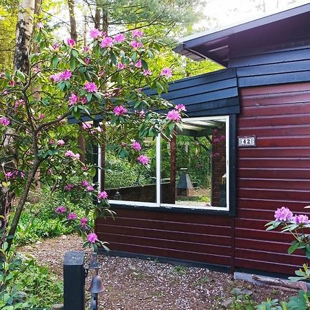 Bosbungalow De Eekhoorn Нунспет Екстериор снимка