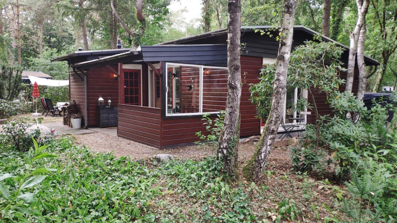 Bosbungalow De Eekhoorn Нунспет Екстериор снимка