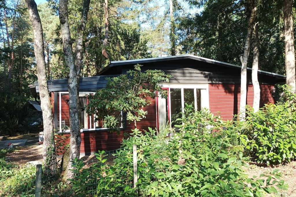 Bosbungalow De Eekhoorn Нунспет Екстериор снимка